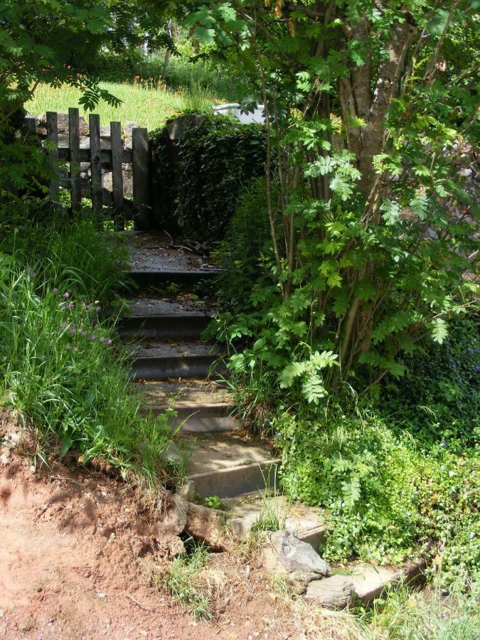 Ferme Hurlet Stavelot Dış mekan fotoğraf