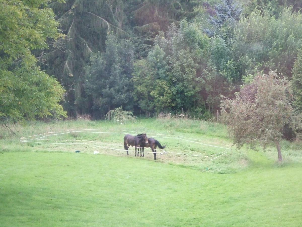 Ferme Hurlet Stavelot Dış mekan fotoğraf